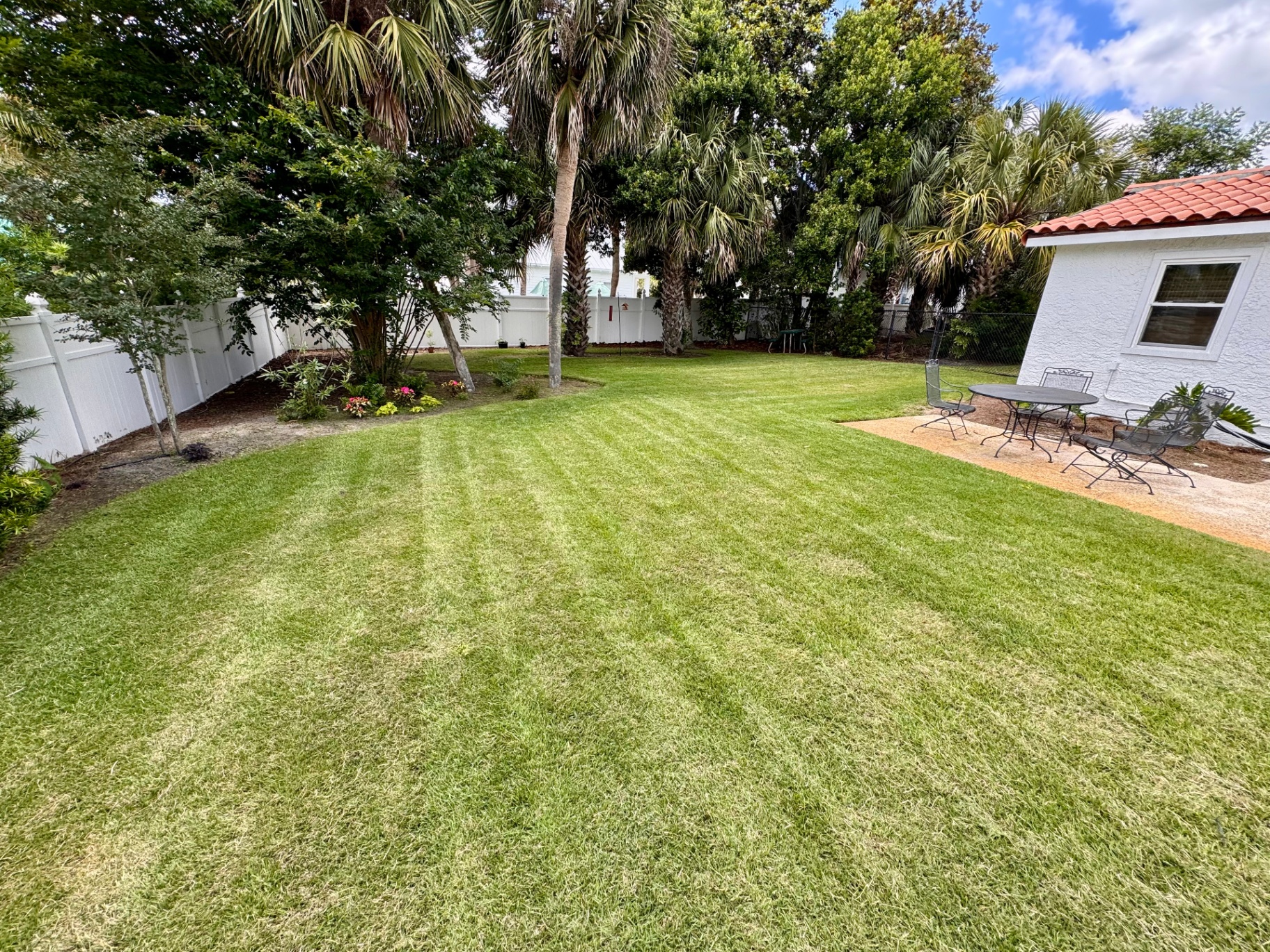 Backyard with striped freshly mowed lawn and palms