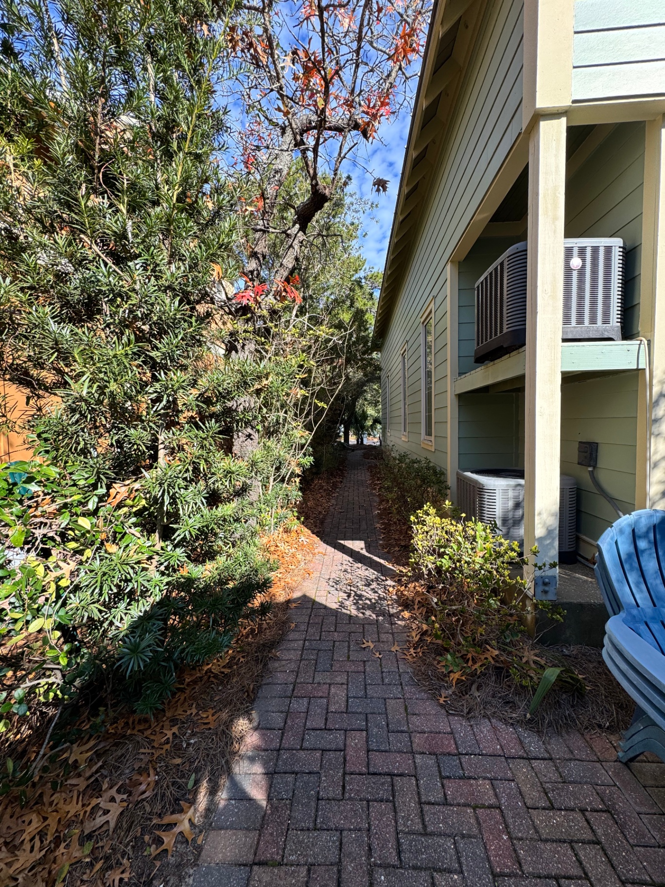 Utility side path before pine straw — bare soil and scattered leaves