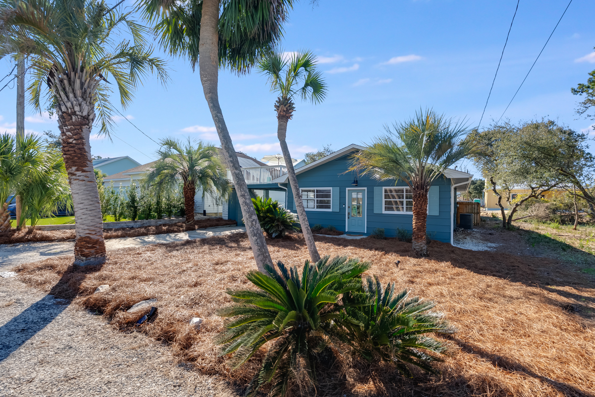 30A vacation property front yard with freshly pruned palms and pine straw beds