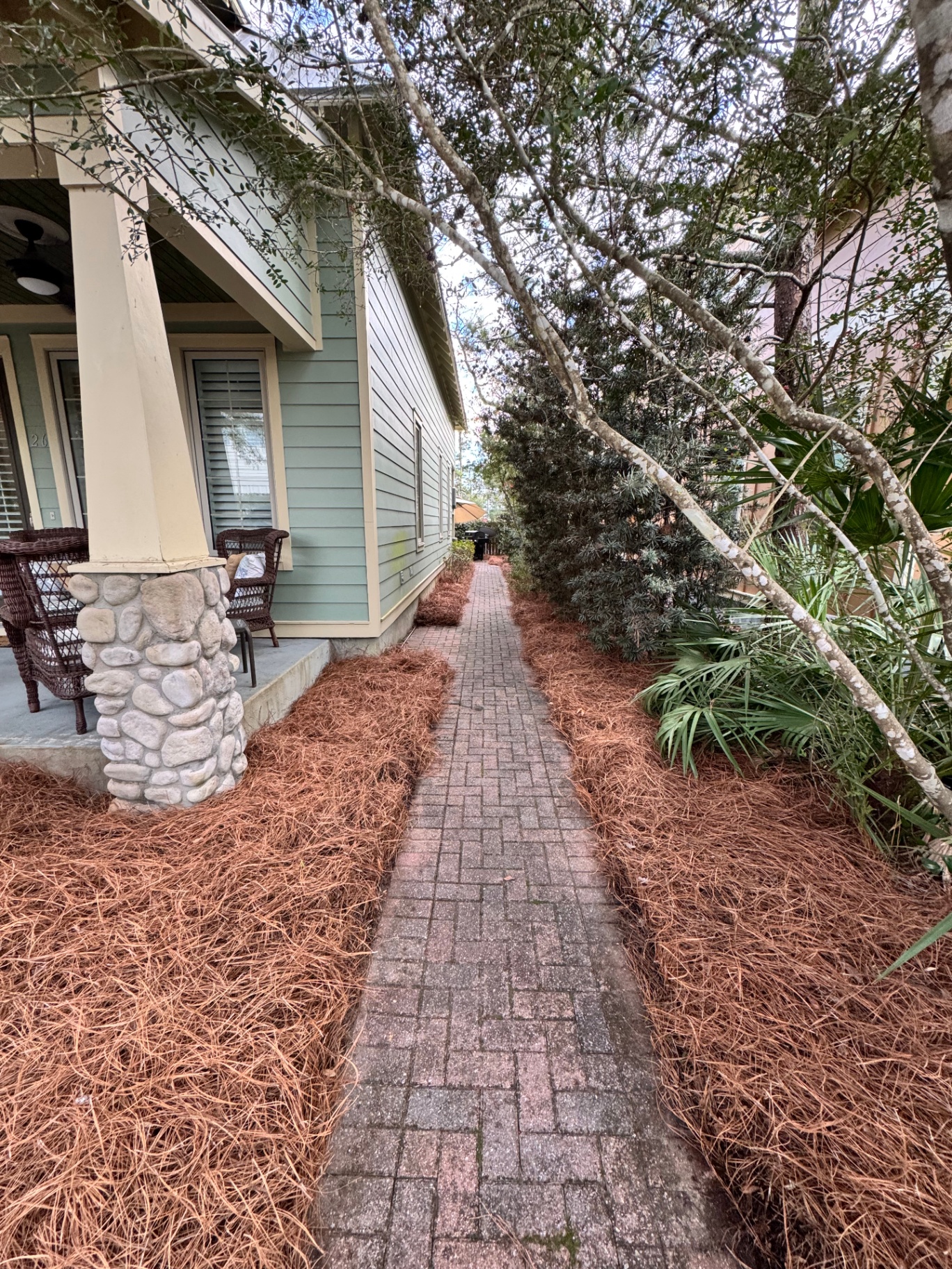 Side walkway after pine straw installation — full, rich bed coverage along the path