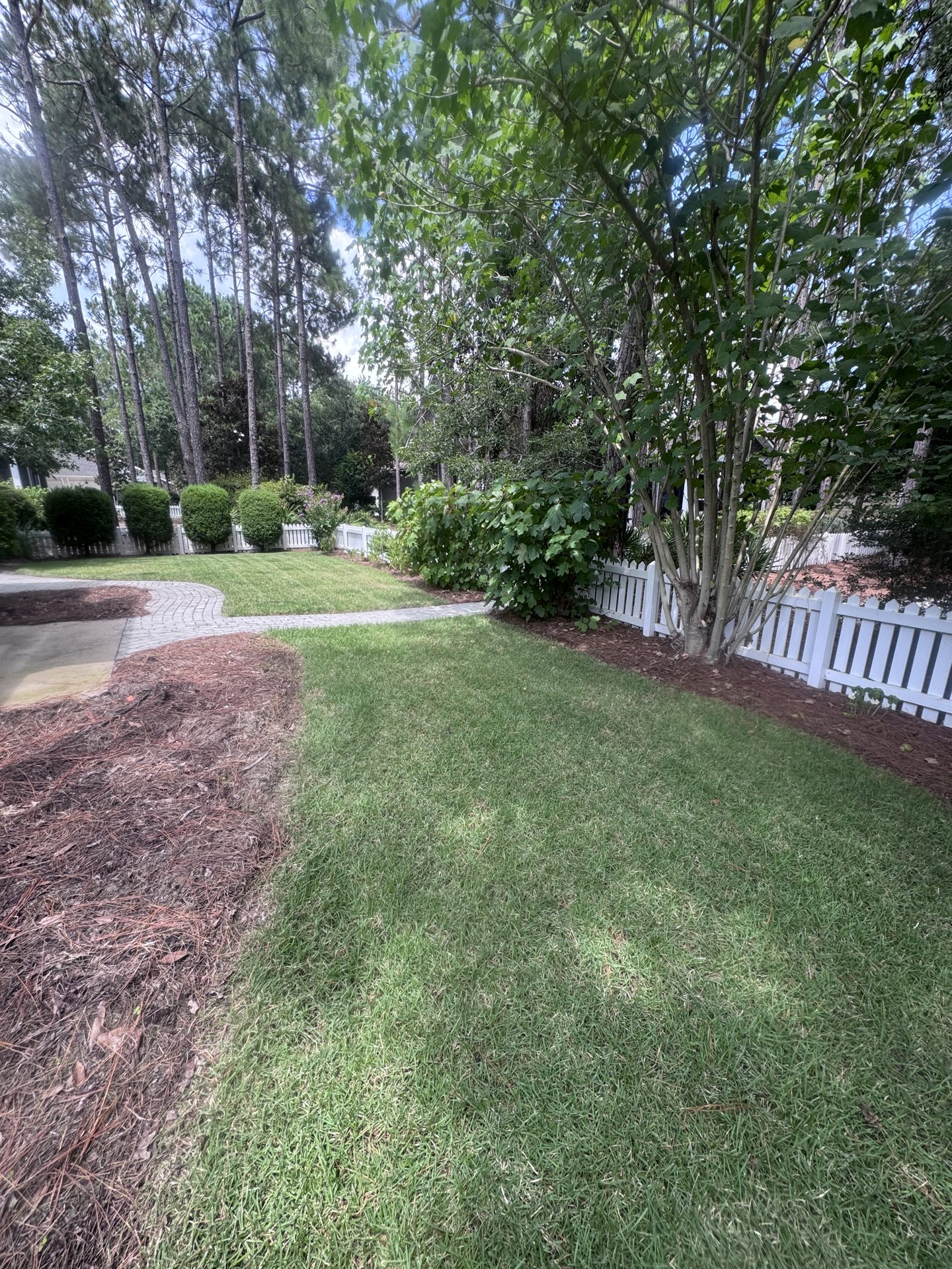 Recurring lawn maintenance detail with edged beds and clean finish