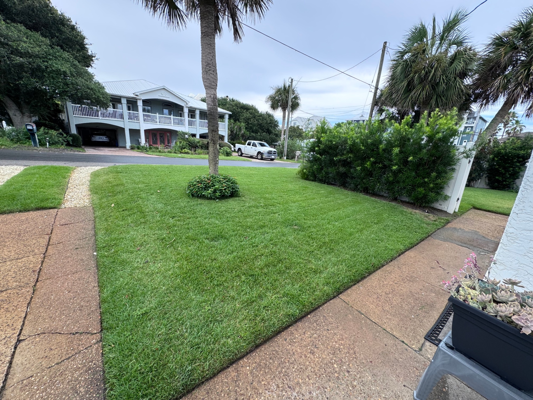 Front yard lawn with crisp edges and coastal plantings