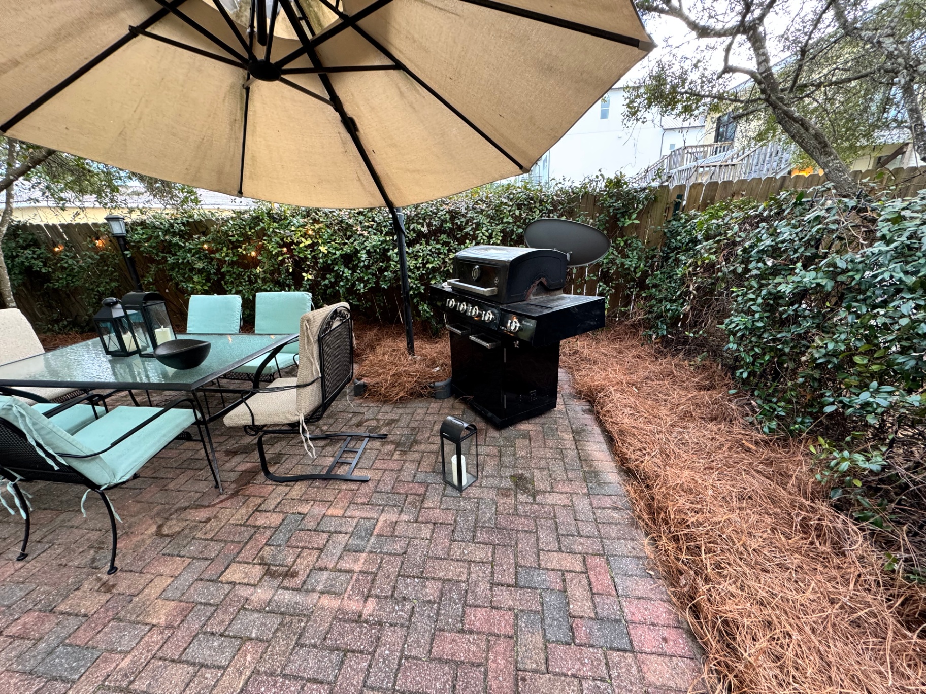 Backyard patio border after pine straw installation — clean, uniform bed finish