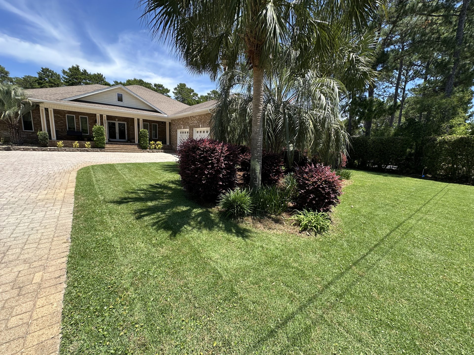 Front-yard lawn detail with crisp edge and palms
