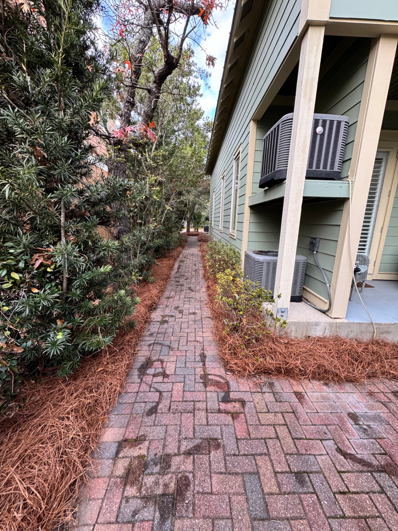 Utility side path after pine straw installation — crisp bed edges along the walkway
