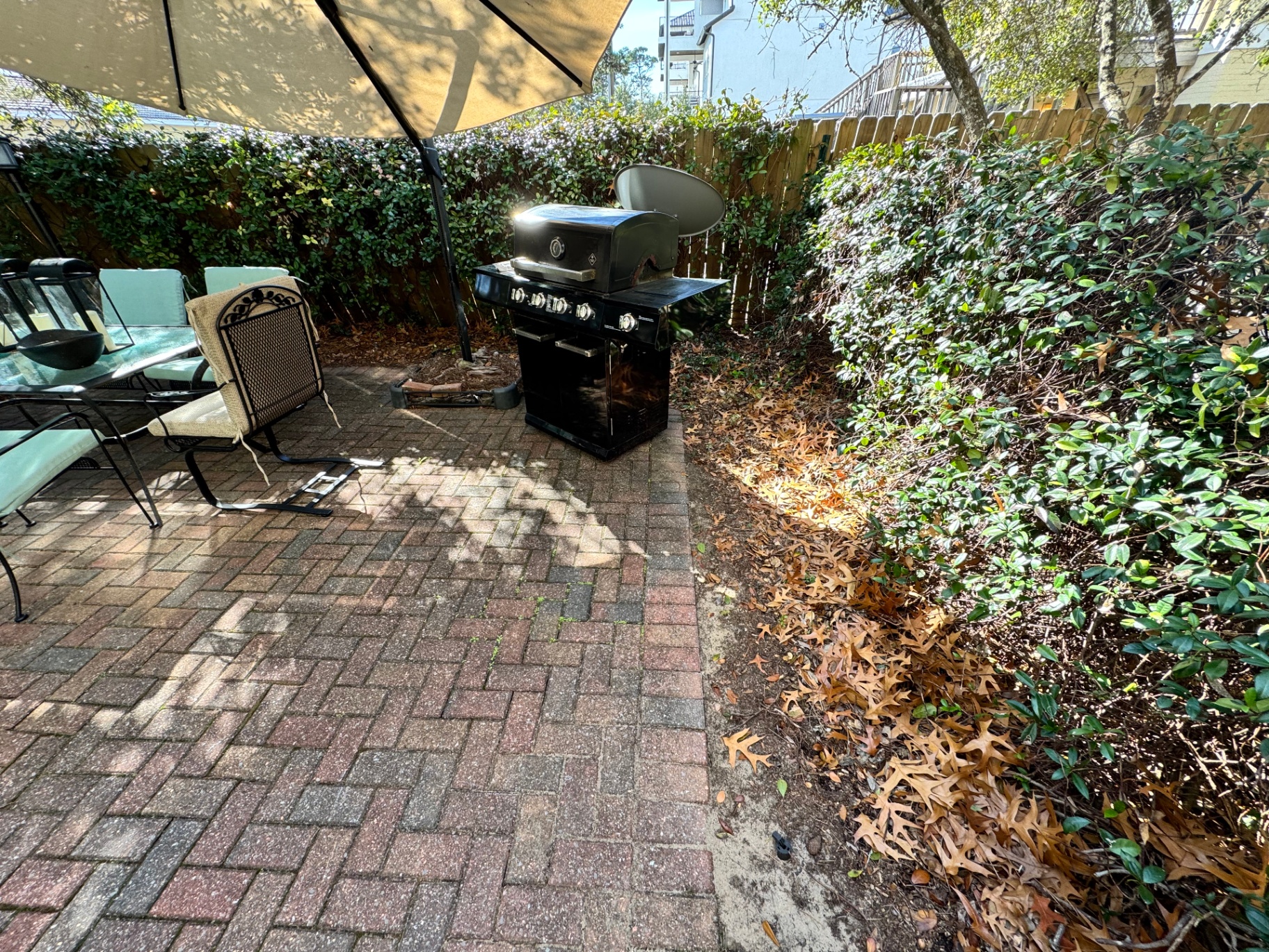 Backyard patio border before pine straw — leaf-covered bare soil